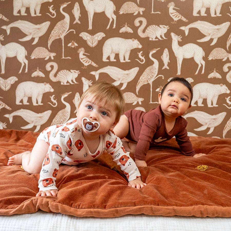 Nette kleding baby clearance